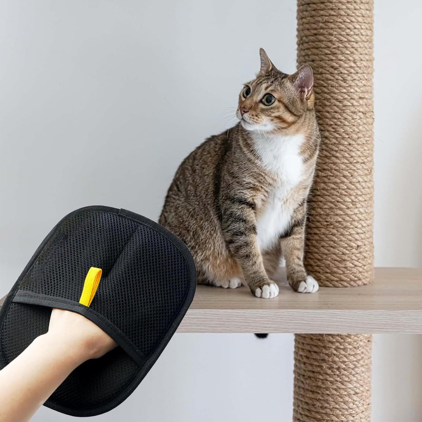 Shedding Solution Glove – Easy Fur Remover for a Cleaner Home | Groom & Collect Pet Hair with One Swipe