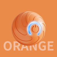 Pet toy automatic moving ball