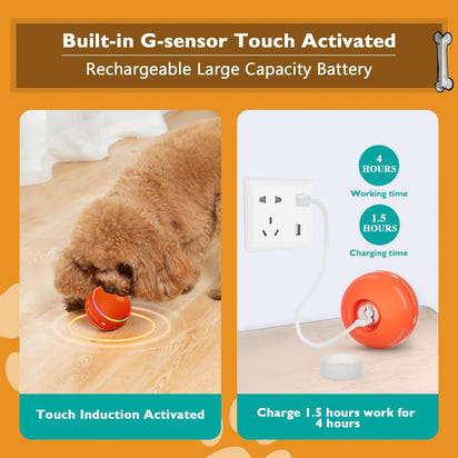 Pet toy automatic moving ball