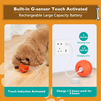 Pet toy automatic moving ball