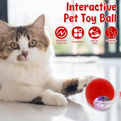 Pet toy automatic moving ball