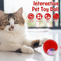 Pet toy automatic moving ball
