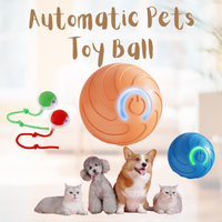Pet toy automatic moving ball
